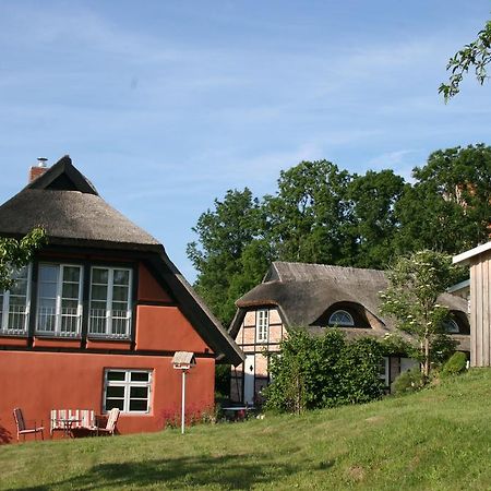 Villa Dorphus Neuenkirchen auf Rugen Exterior foto